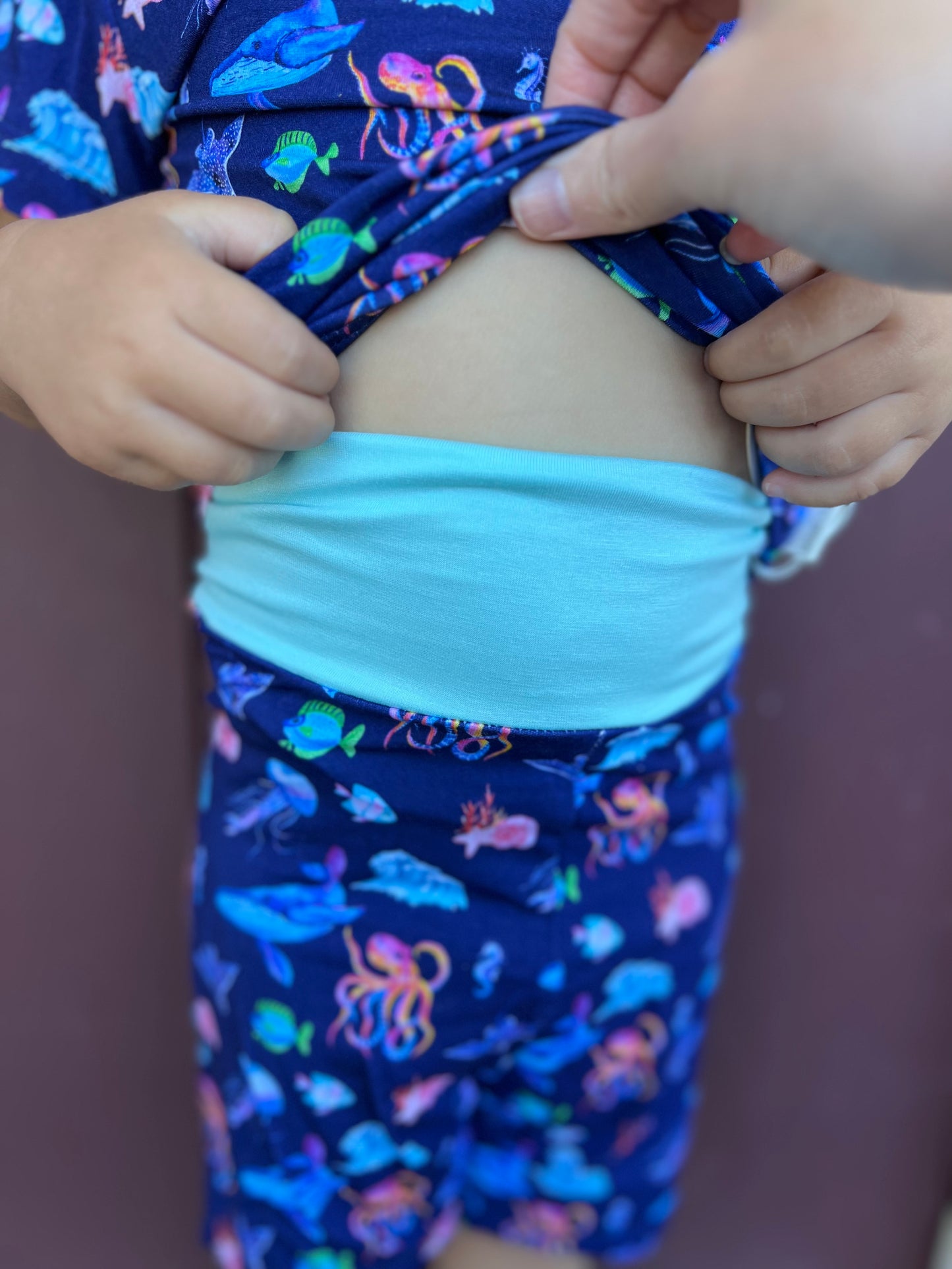 ๐ Finn Collection ๐