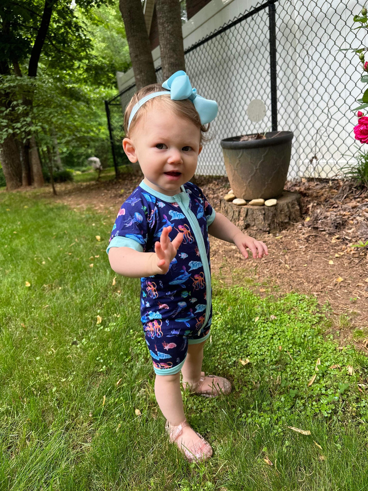 🐠Finn Collection 🐠