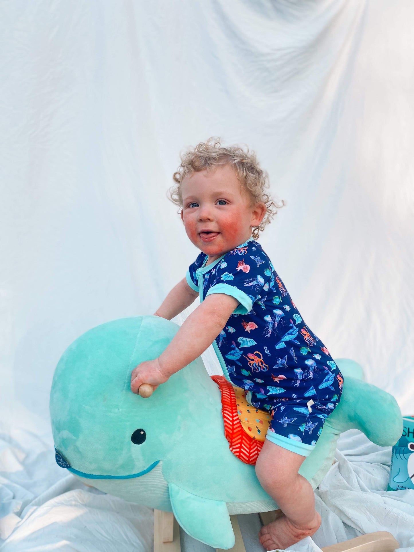 🐠Finn Collection 🐠