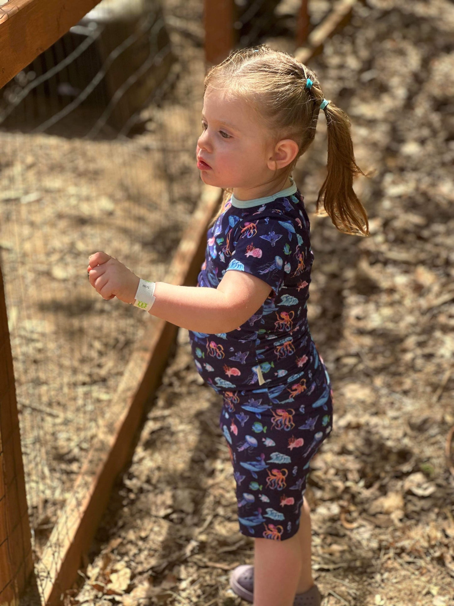 🐠Finn Collection 🐠