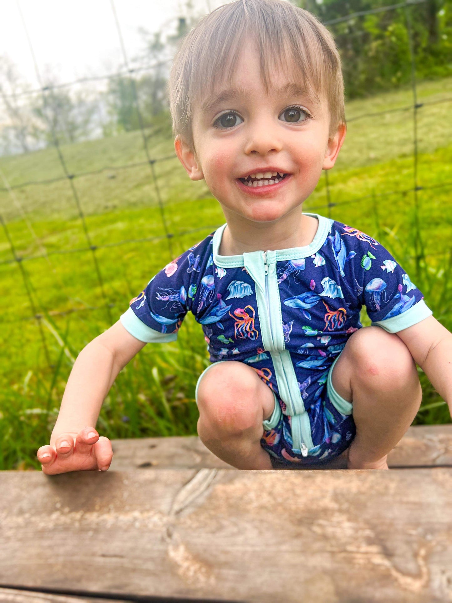 🐠Finn Collection 🐠